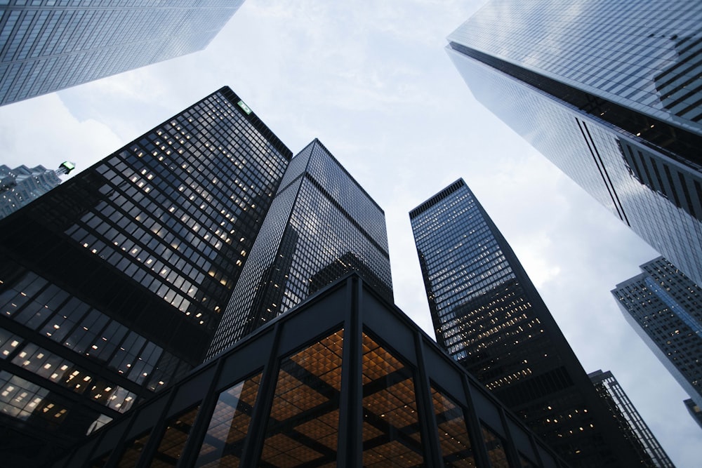 Corporate skyscrapers representing large enterprise organizations